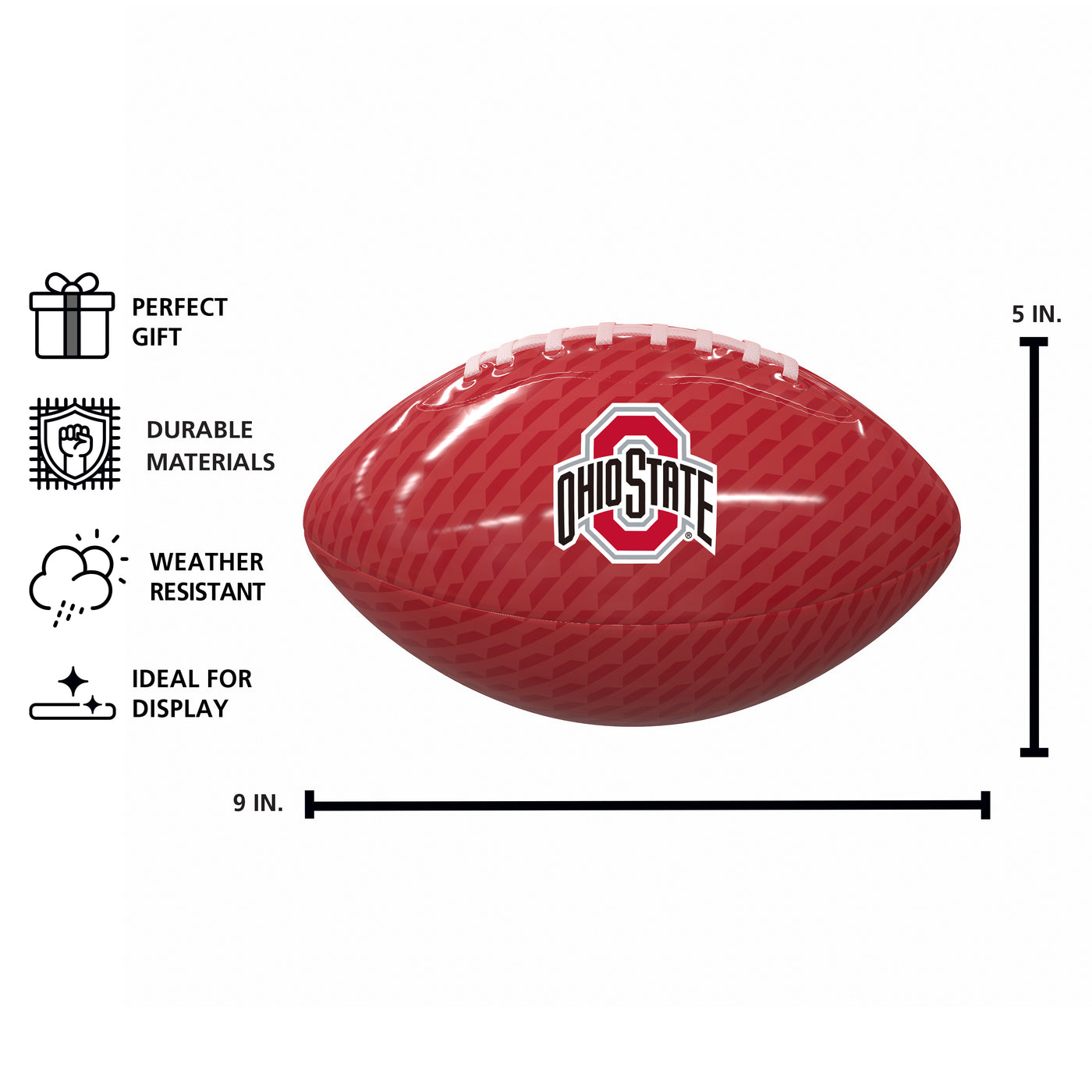 Ohio State Carbon Fiber Mini Size Glossy Football