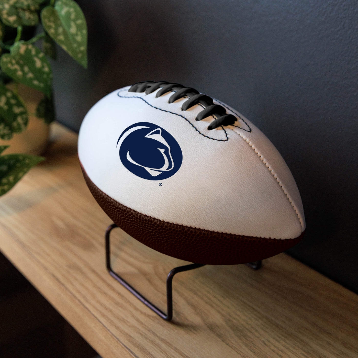 Penn State Mini Autograph Football