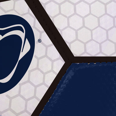 Penn State Soccer Ball