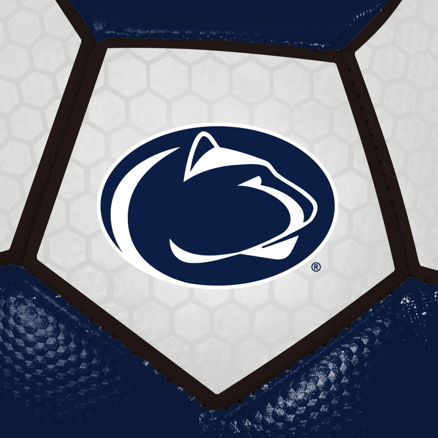 Penn State Soccer Ball