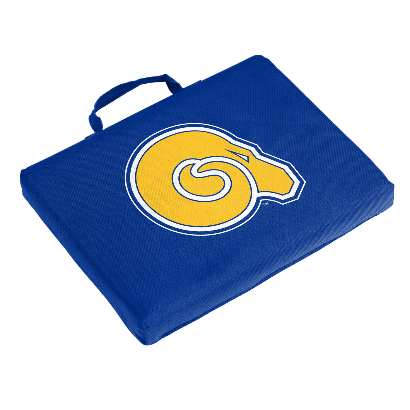 Albany State Bleacher Cushion