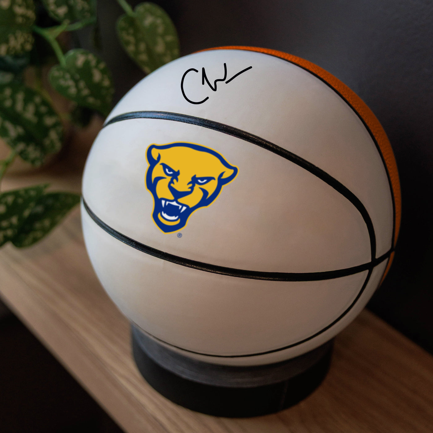 Pittsburgh Mini Size Autograph Basketball