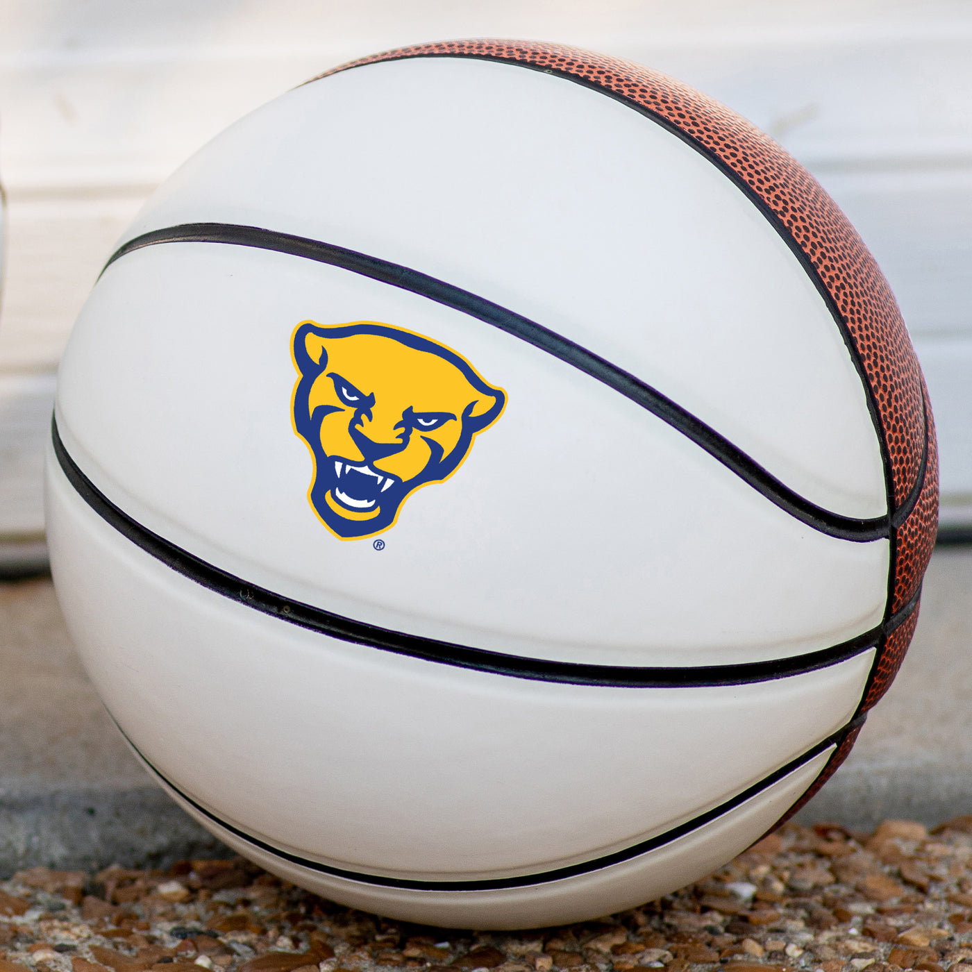 Pittsburgh Mini Size Autograph Basketball