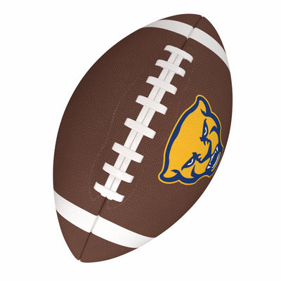 Pittsburgh Team Stripe Official-Size Composite Football