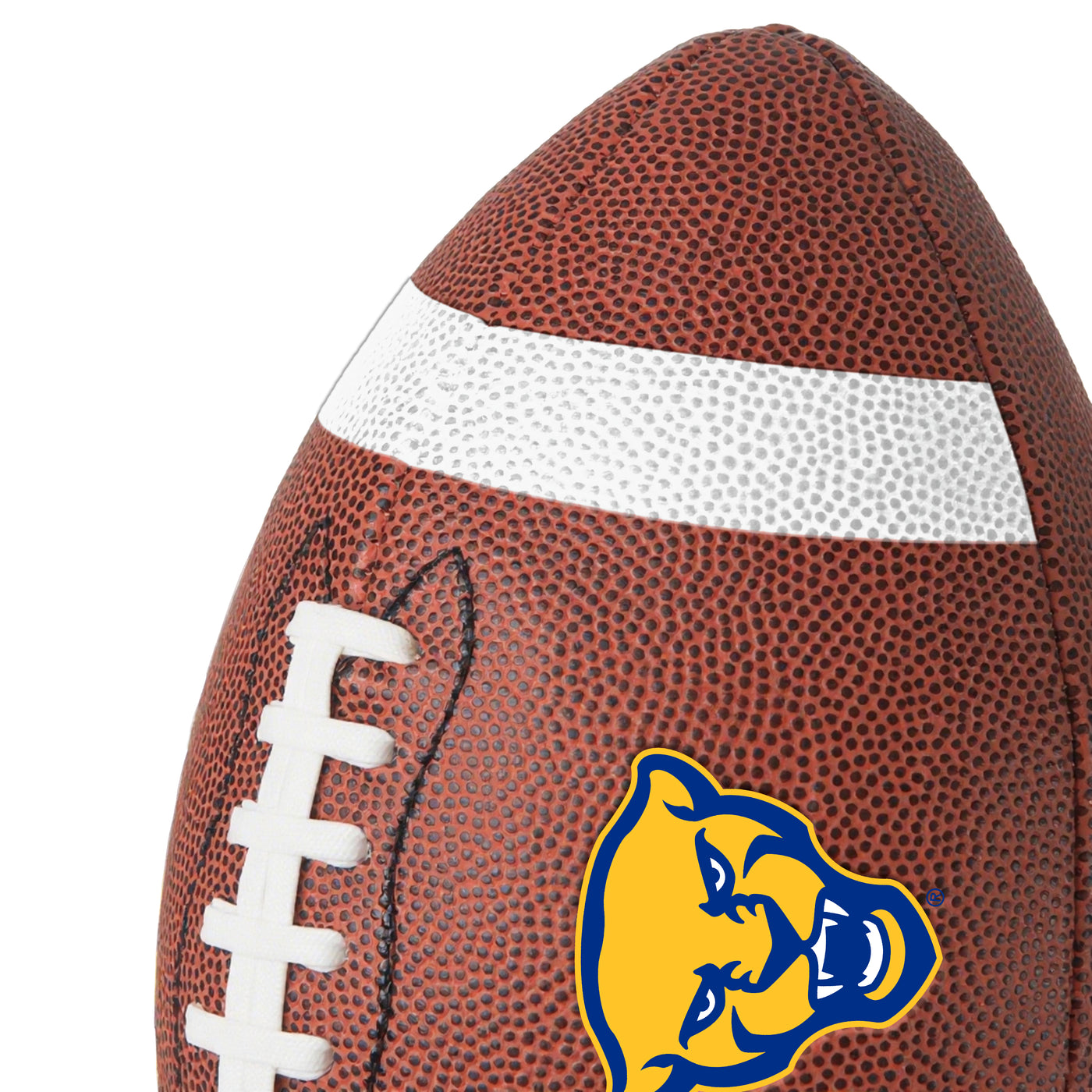 Pittsburgh Team Stripe Official-Size Composite Football
