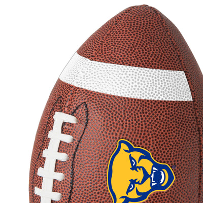 Pittsburgh Team Stripe Official-Size Composite Football