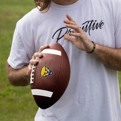 Pittsburgh Team Stripe Official-Size Composite Football