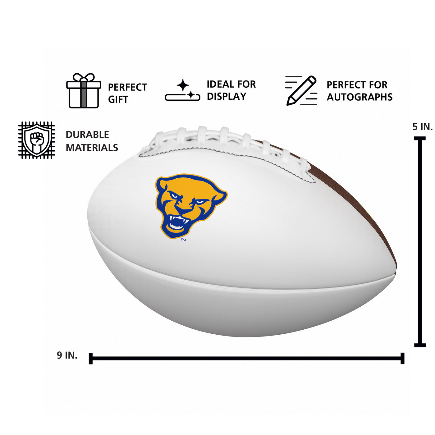 Pittsburgh Mini Autograph Football