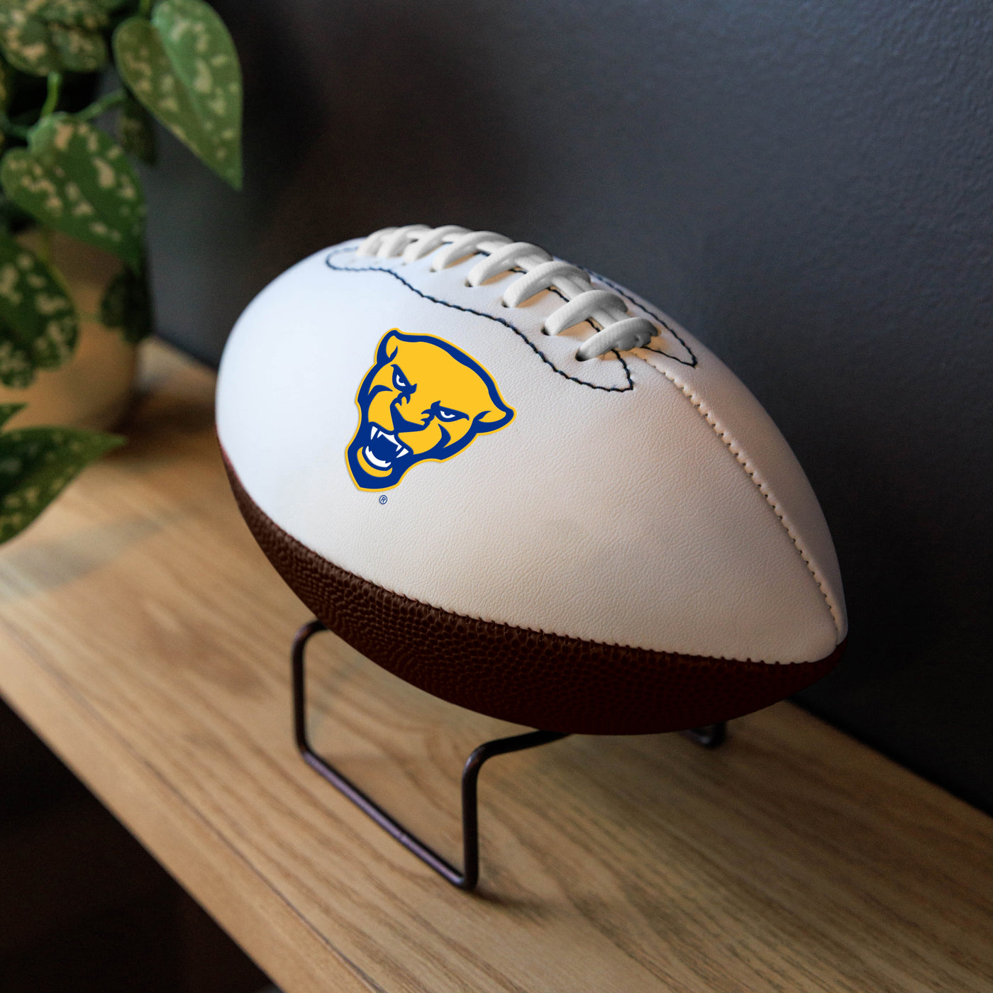 Pittsburgh Mini Autograph Football
