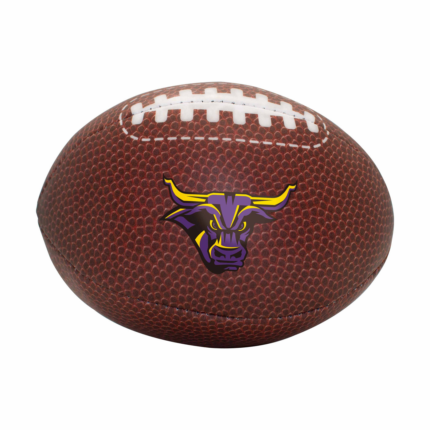 MInnesota St Mankato Composite Brown Micro Soft Football