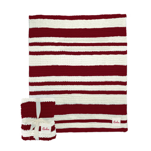 South Carolina Cable Knit Throw blanket by Logo Brands, 50x60 inches, featuring cozy cable knit pattern in neutral tones.
