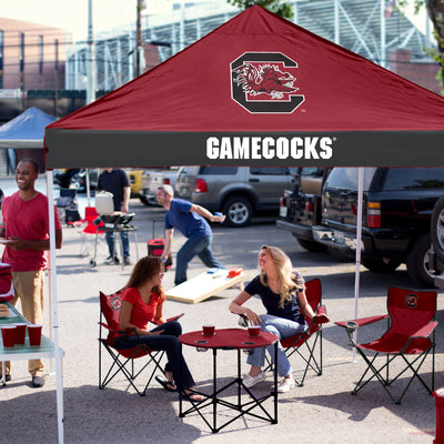 South Carolina Economy Canopy