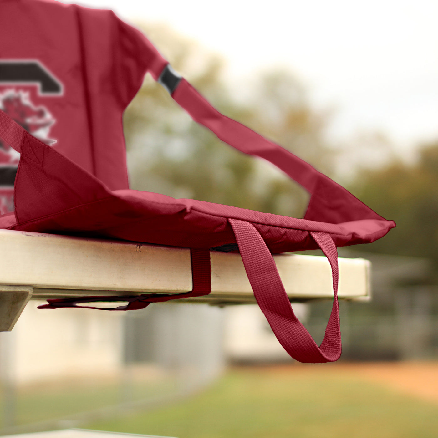 South Carolina Stadium Seat