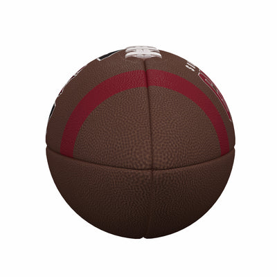 South Carolina Team Stripe Official-Size Composite Football