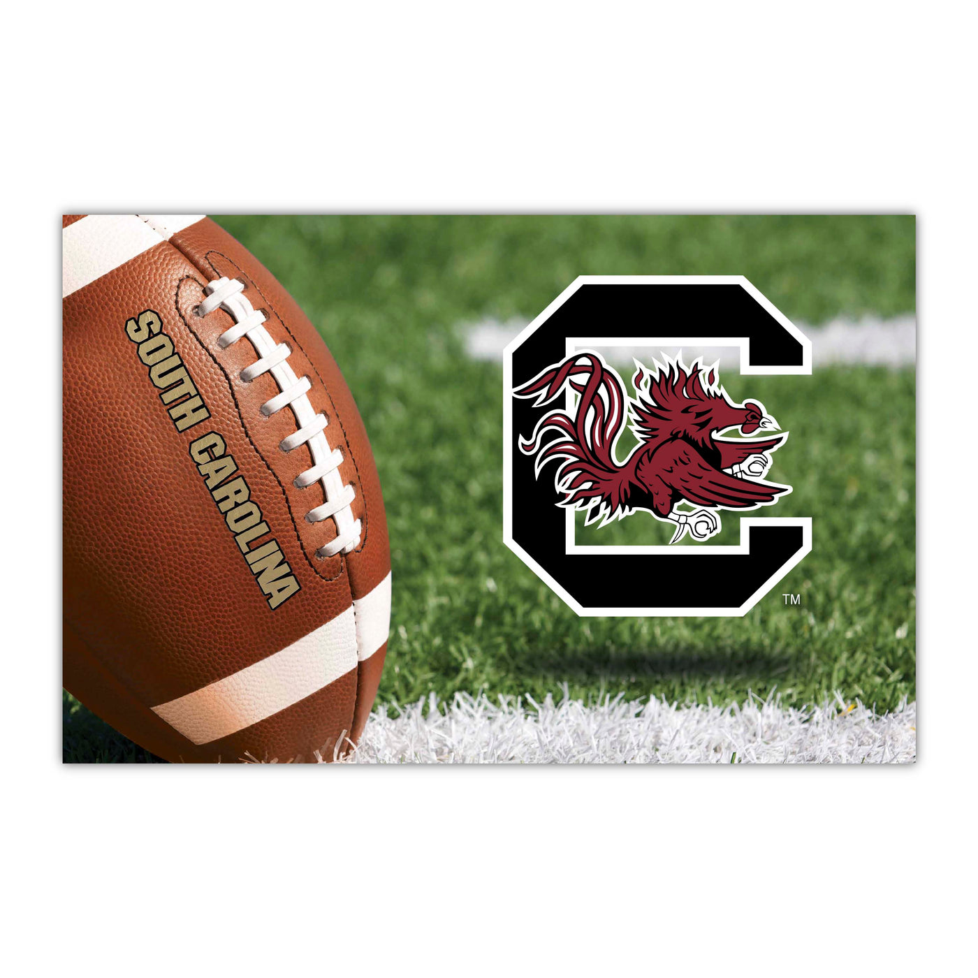 University of South Carolina HIDEFMAT