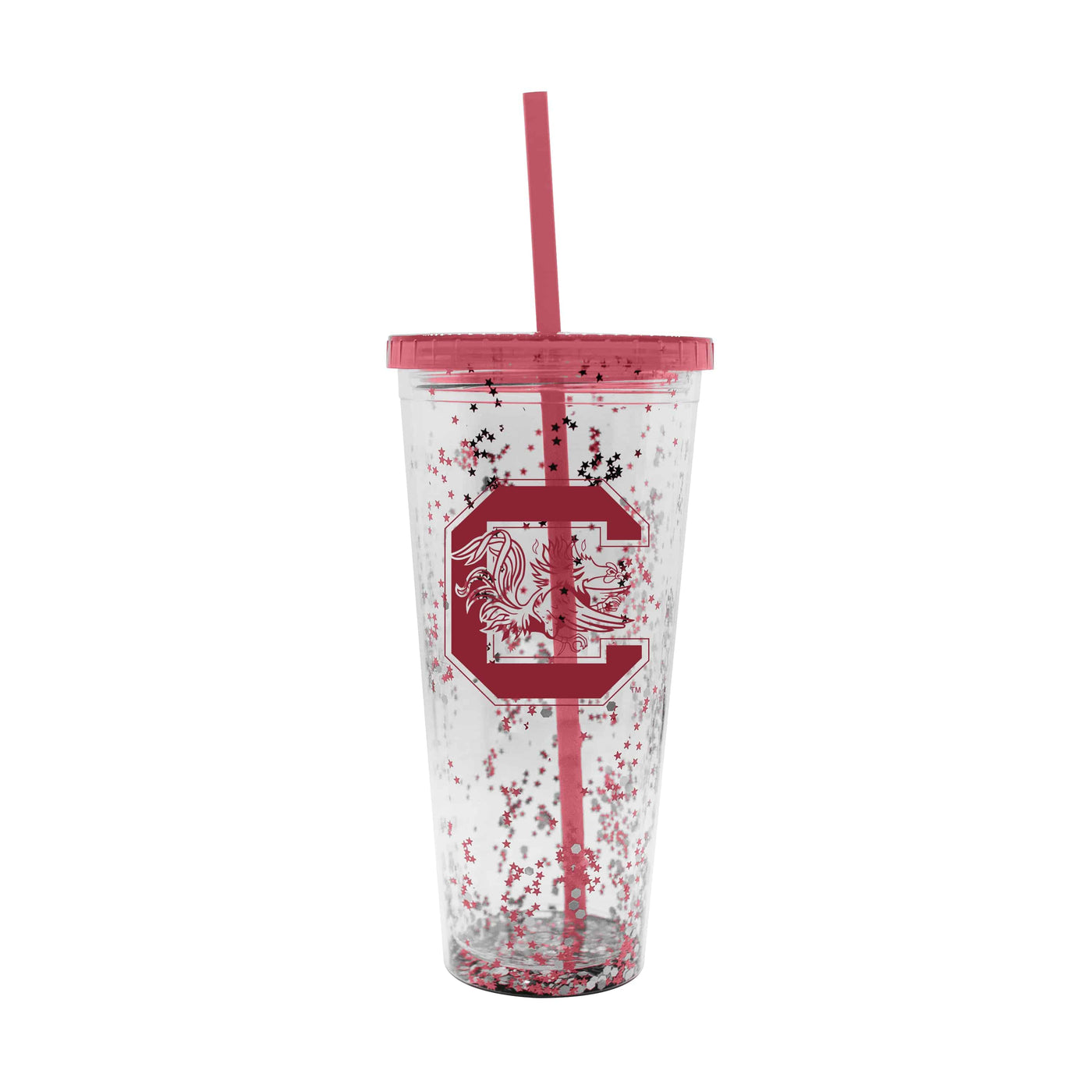 South Carolina 24oz Confetti Tumbler