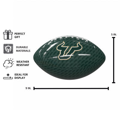 South Florida Carbon Fiber Mini Size Glossy Football
