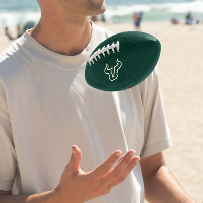 South Florida Carbon Fiber Mini Size Glossy Football