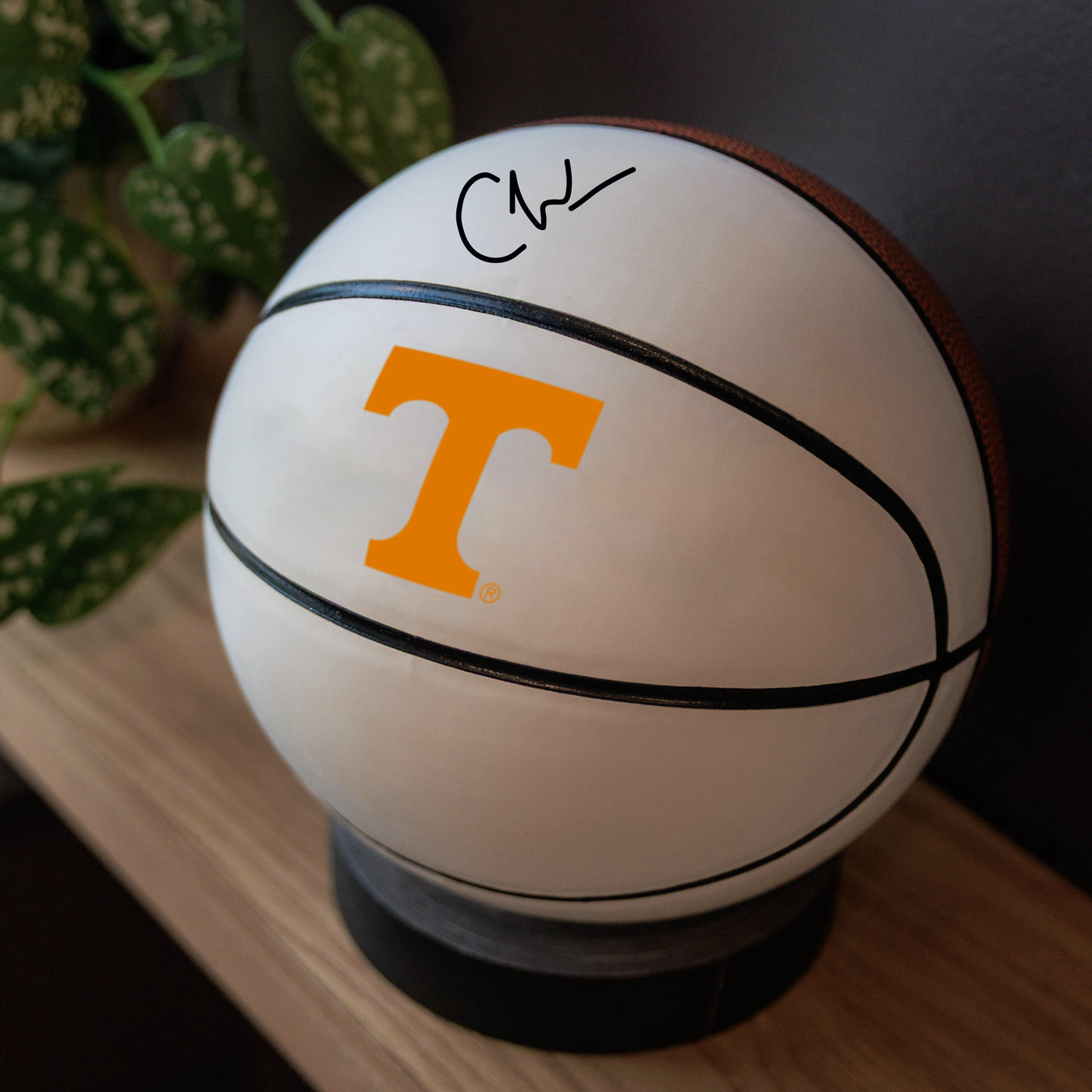 Tennessee Mini-Size Autograph Basketball