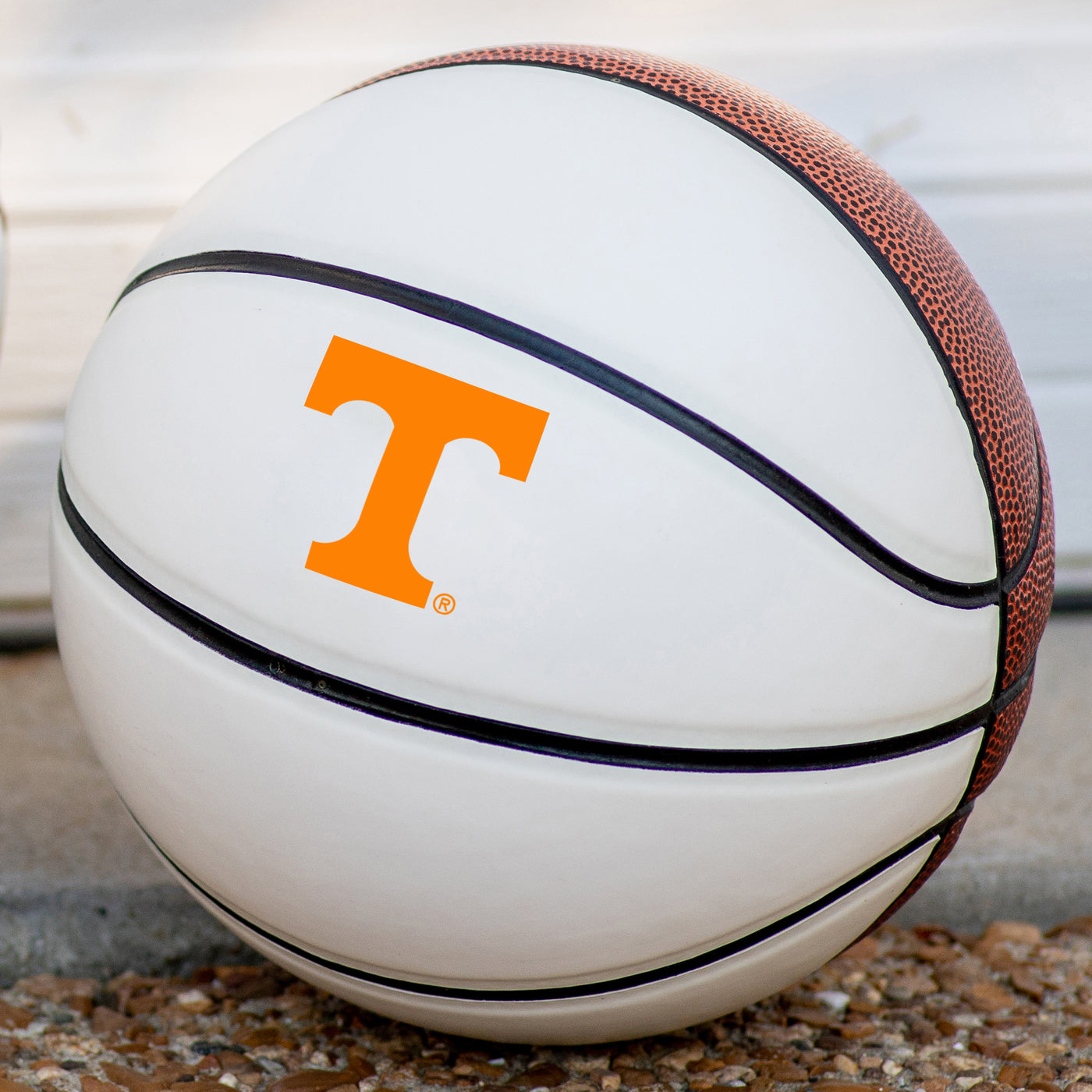 Tennessee Mini-Size Autograph Basketball