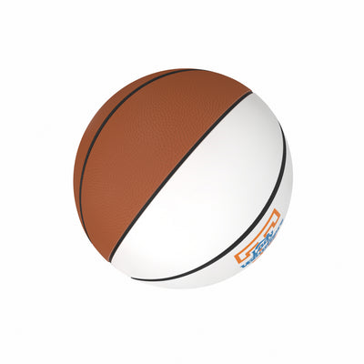 Tennessee Lady Vols Mini-Size Autograph Basketball