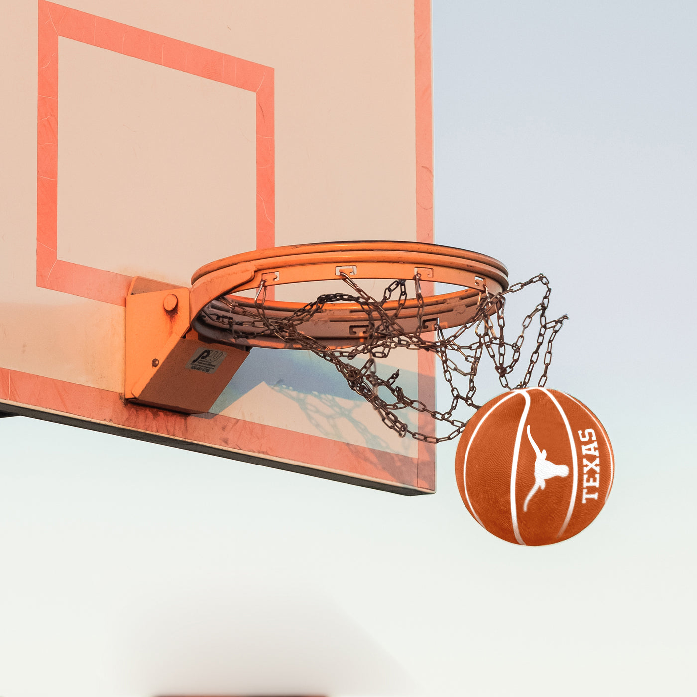 Texas Mascot Official-Size Rubber Basketball