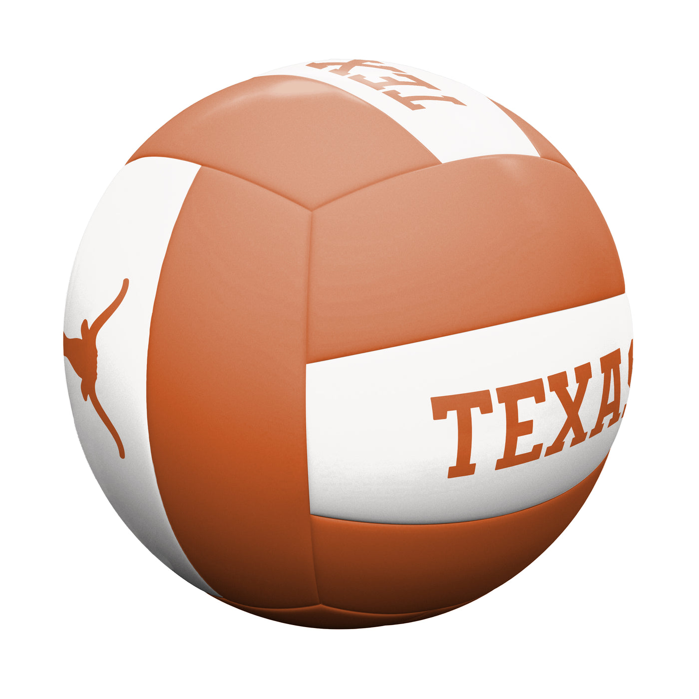 Texas Volleyball