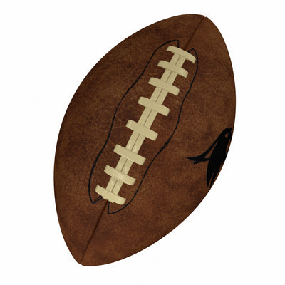 TX State Official-Size Vintage Football