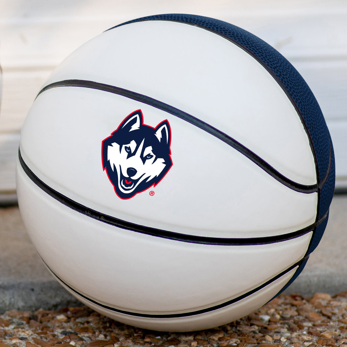 UConn Mini-Size Autograph Basketball