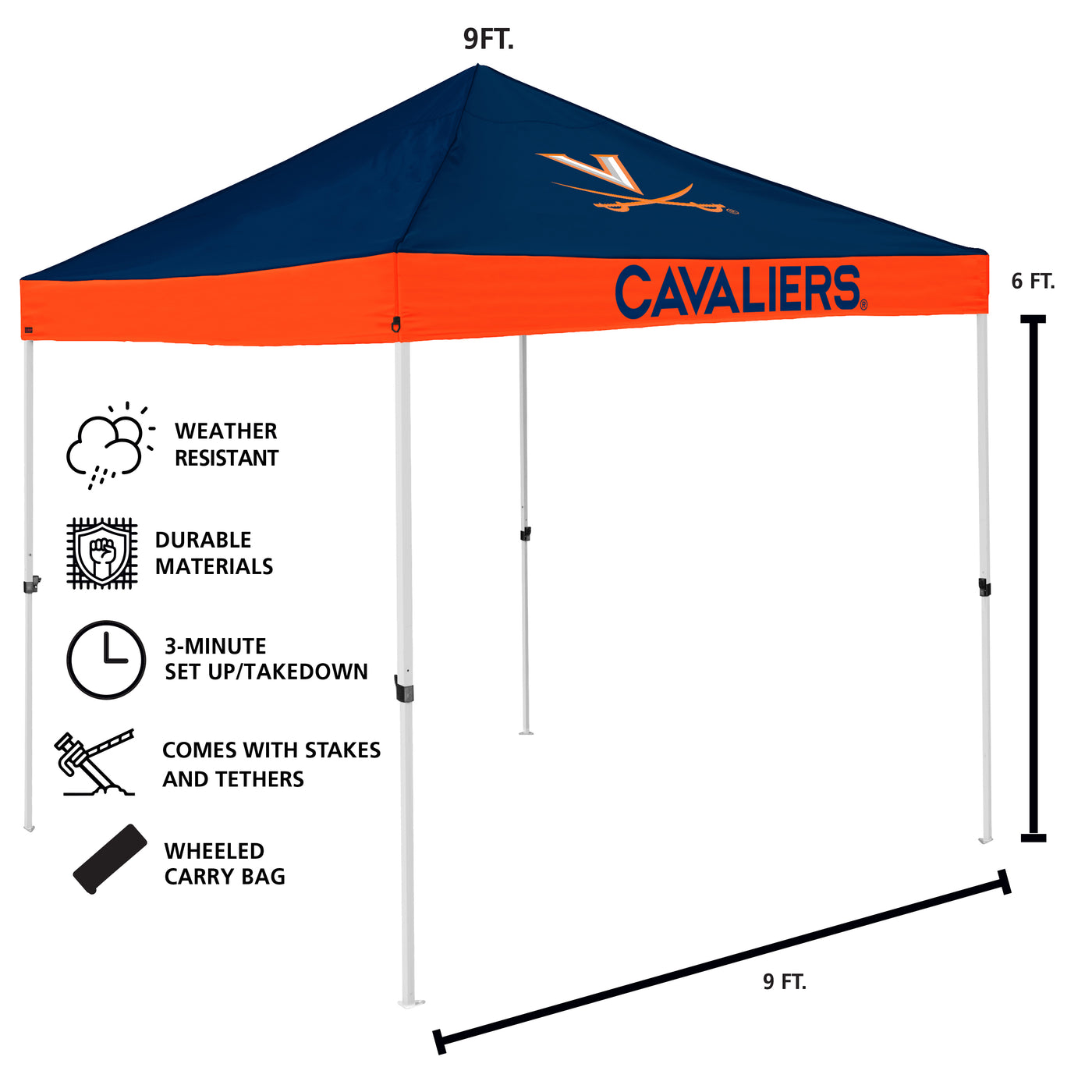 Virginia Economy Canopy