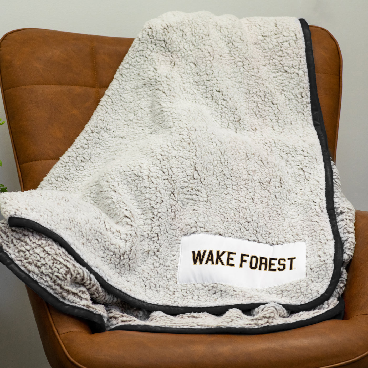 Wake Forest Frosty Fleece - Logo Brands