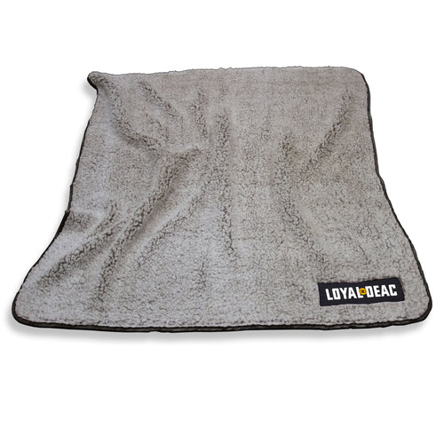 Wake Forest University Alumni Frosty Fleece blanket with university logo, soft fleece material, perfect for fans and alumni.