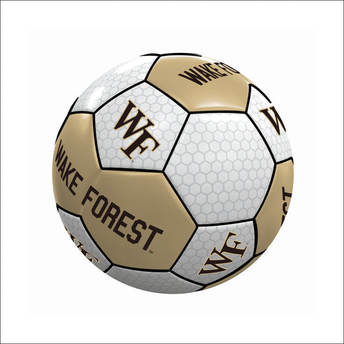 Mini soccer ball by Logo Brands featuring Wake Forest logo, suitable for recreation and display.