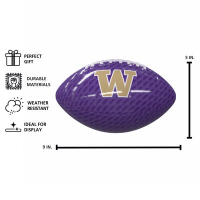 Washington Carbon Fiber Mini Glossy Football