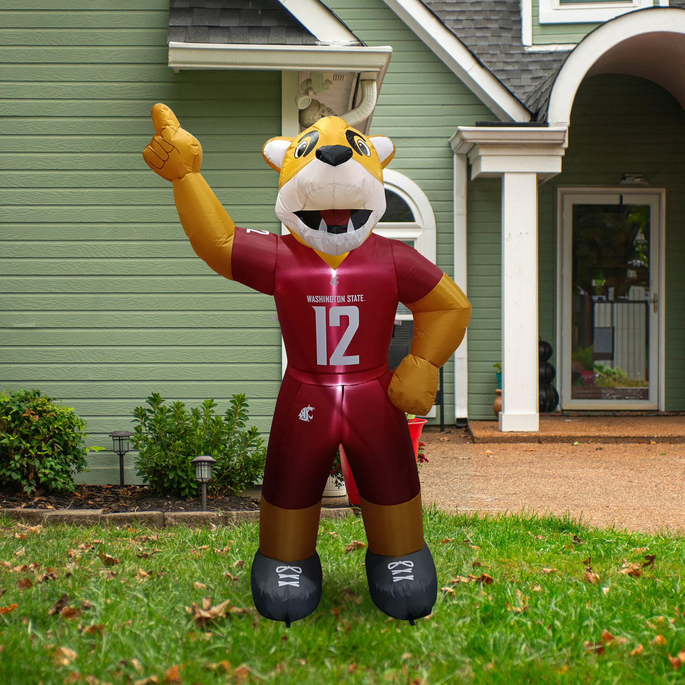 Washington State Mascot Yard Inflatable