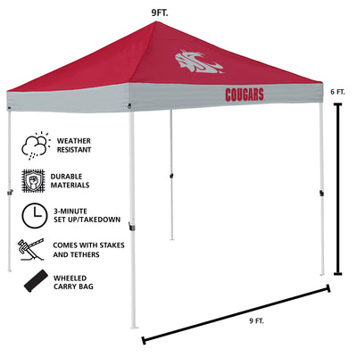 WA State Economy Canopy