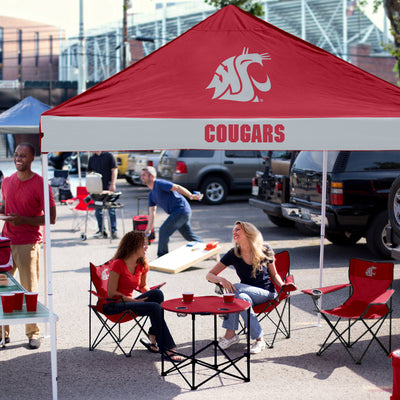 WA State Economy Canopy