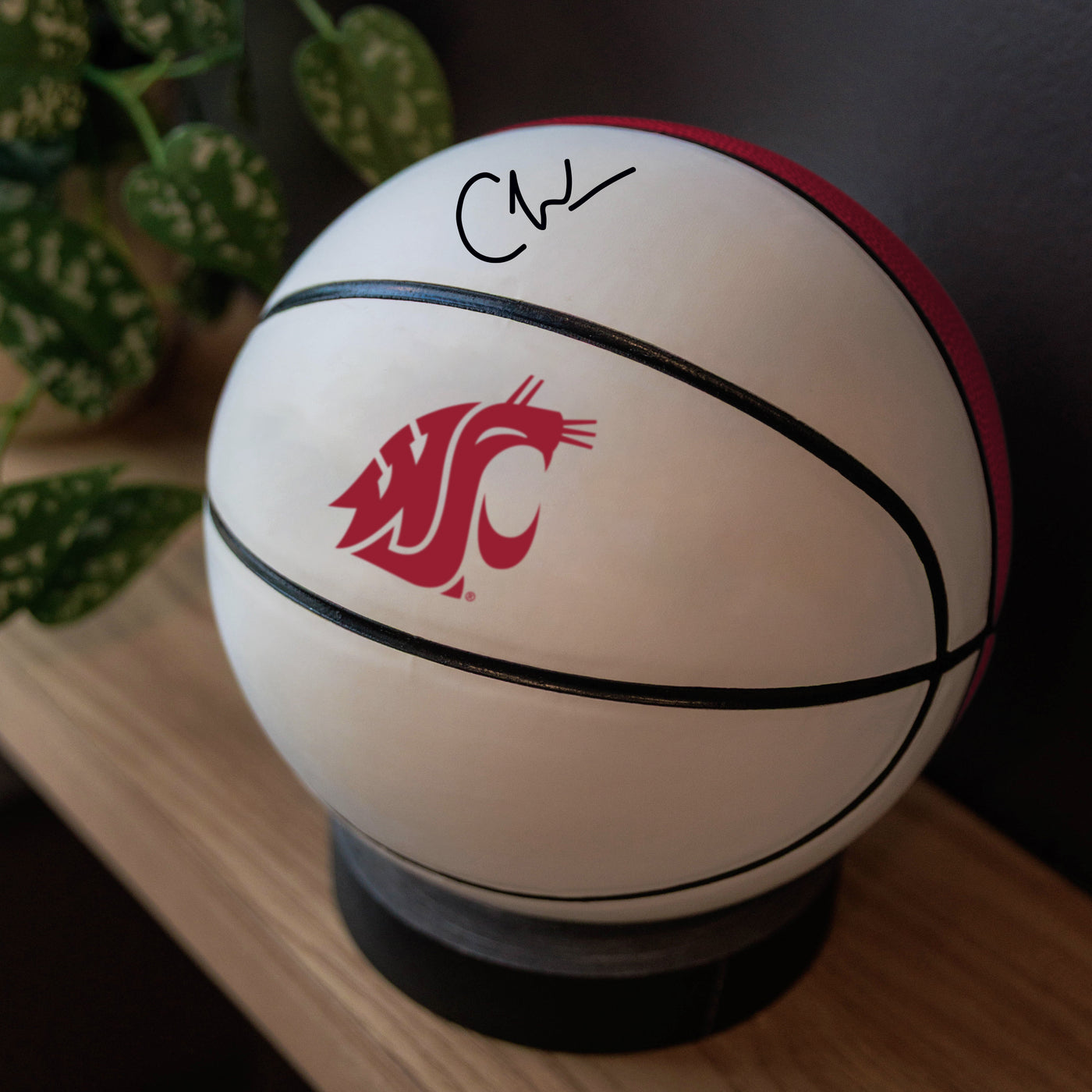 Washington State Mini Size Autograph Basketball