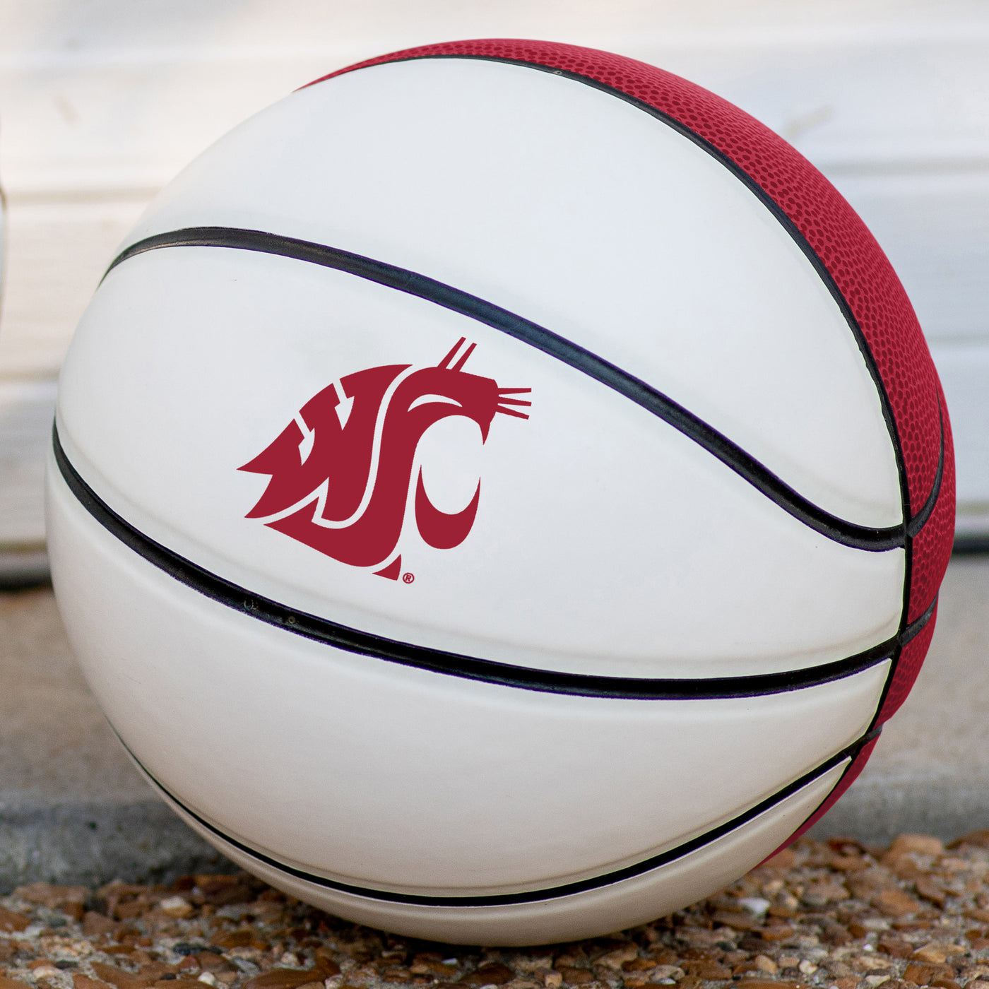 Washington State Mini Size Autograph Basketball