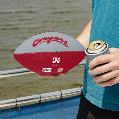 Washington State Pinwheel Junior Size Rubber Football