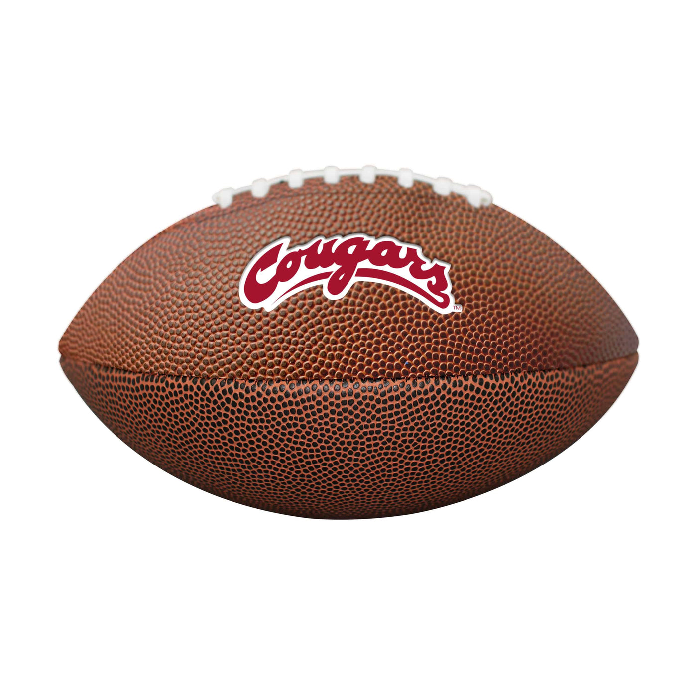 Washington State Mini Size Composite Football