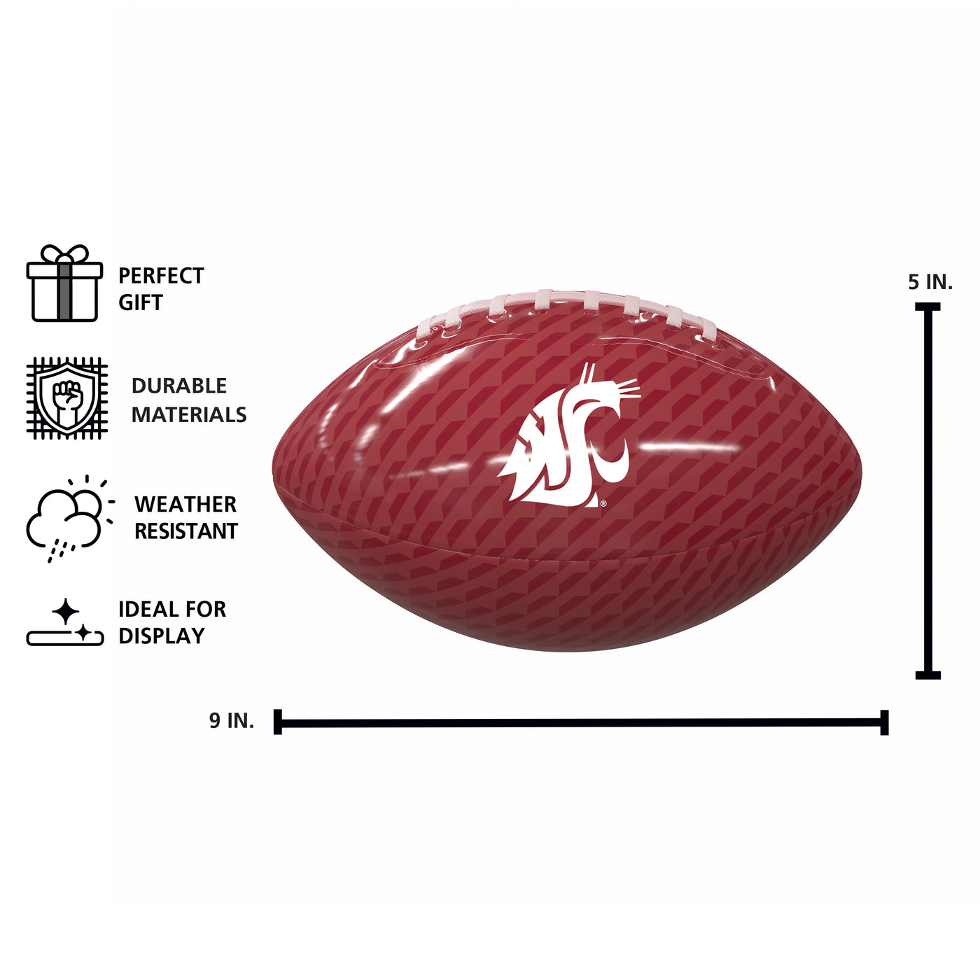 Washington State Carbon Fiber Mini SizeGlossy Football