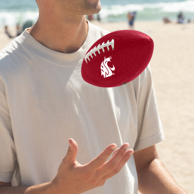 Washington State Carbon Fiber Mini SizeGlossy Football