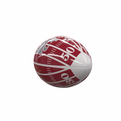 Washington State Field Mini-Size Glossy Football - Logo Brands