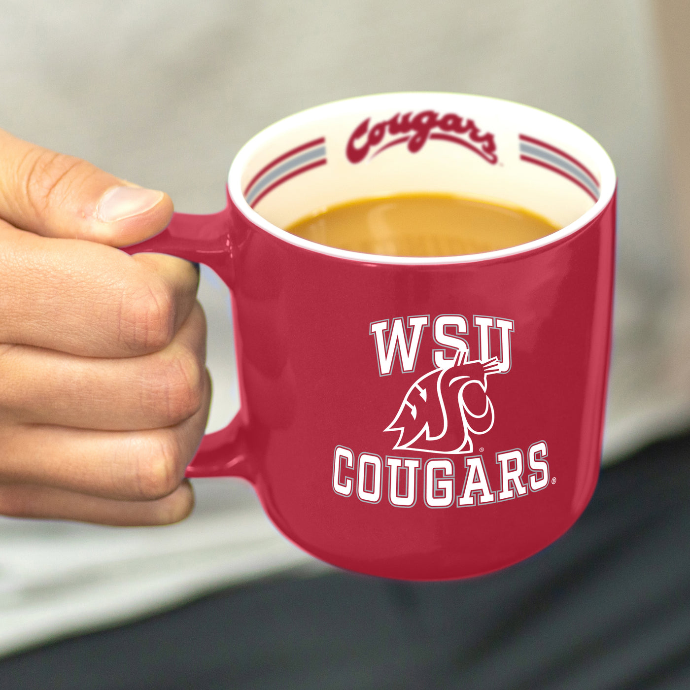 Washington State 15oz Stripe Mug