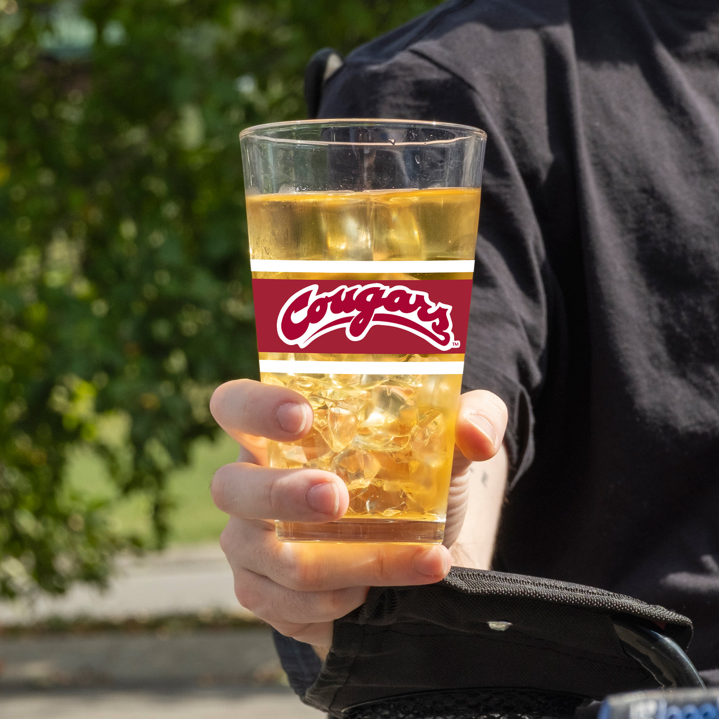 Washington State 16oz Stripe Pint Glass - Logo Brands
