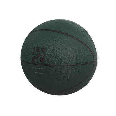 Willam and Mary Mini Size Autograph Basketball