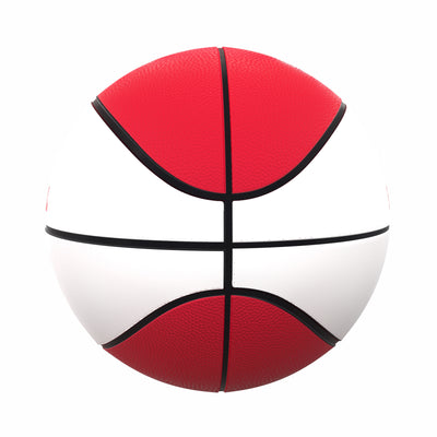 Wisconsin Official-Size Autograph Basketball