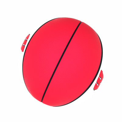 Wisconsin Official-Size Autograph Basketball