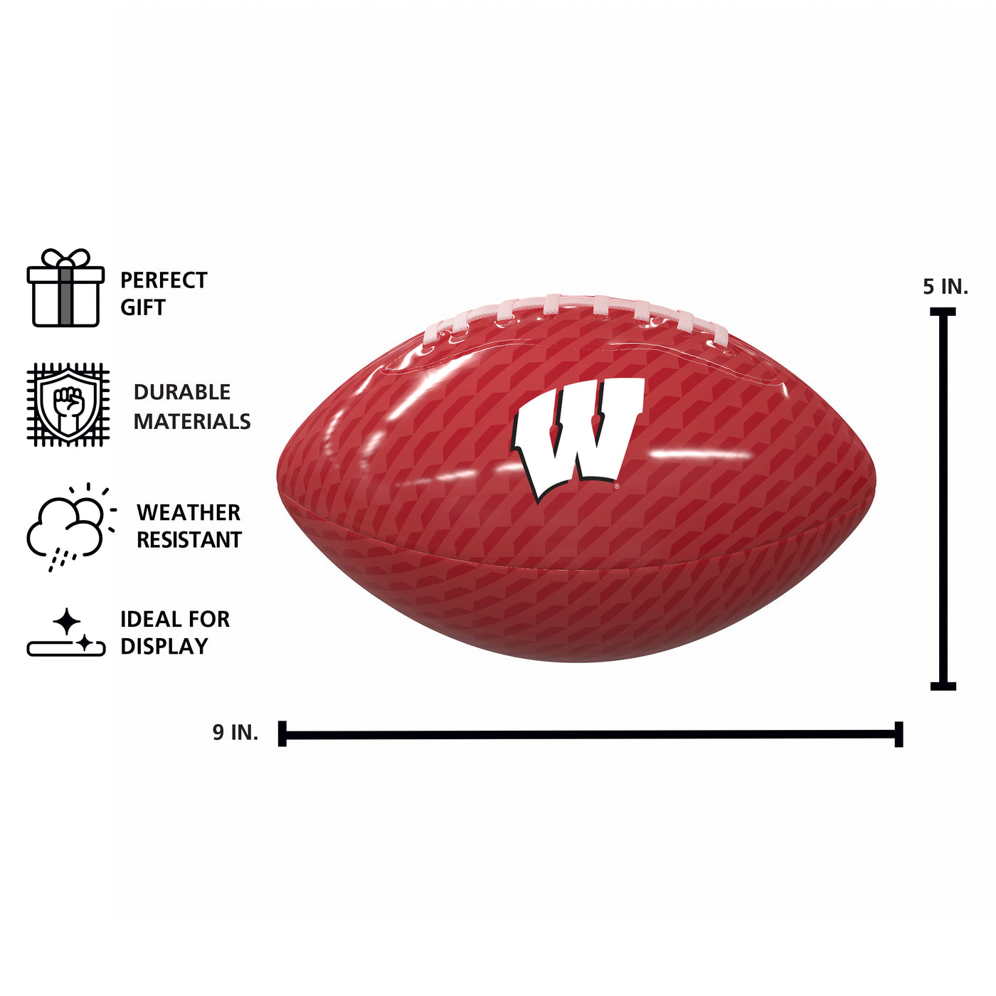 Wisconsin Mini Gameday Size Glossy Football